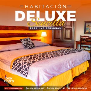 Habitación Sencilla Deluxe
