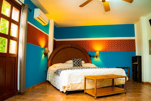 Habitacion Deluxe Sencilla VIP - Imagen 4